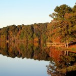 Devotional : 3 Ways to Honor God Daily (Psalm 145:1-6)